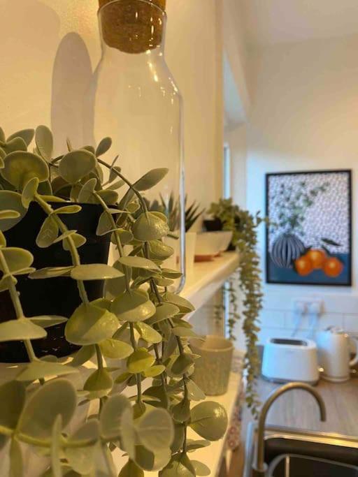 Garden Apartment, Central Harrogate With Parking 외부 사진