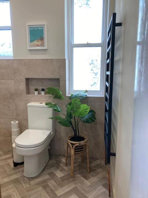 Garden Apartment, Central Harrogate With Parking 외부 사진