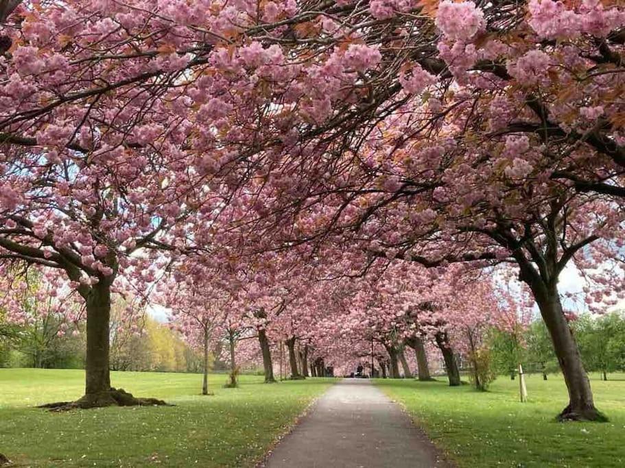 Garden Apartment, Central Harrogate With Parking 외부 사진